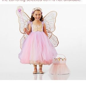 Pottery barn kids butterfly fairy princess costume